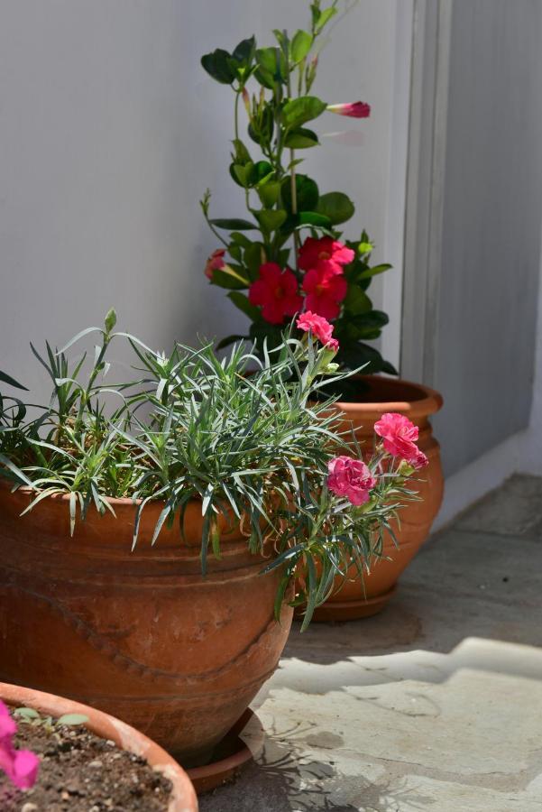 Feel At Home - Family House In Hydra 외부 사진
